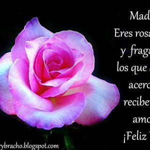 Meet your Posher, Beatriz